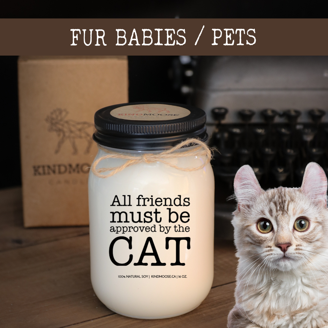 Pet Safe Candles