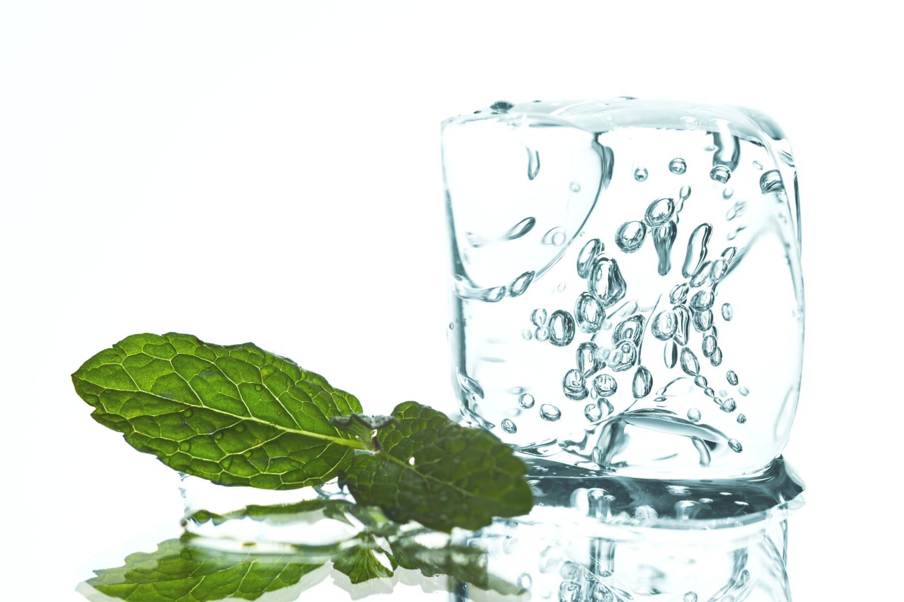 *KINDMOOSE Signature Fresh & Clean Collection
