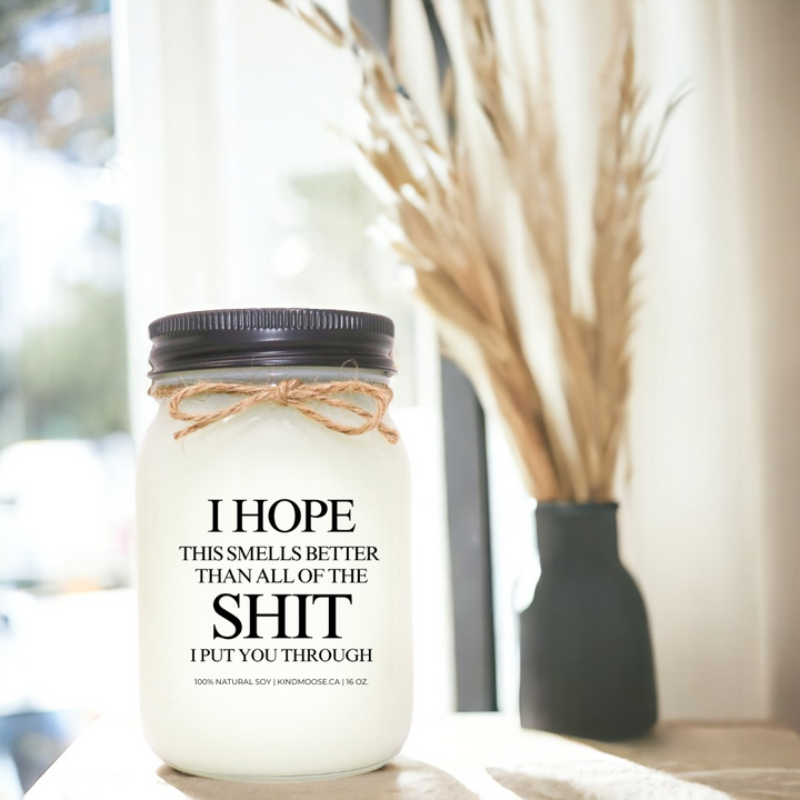 I hope this smells better than  the shit I put you through.