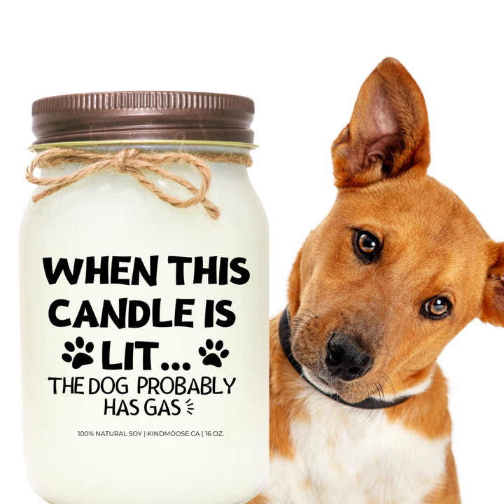 WHEN THIS CANDLE IS LIT... THE DOG PROBABLY HAS GAS