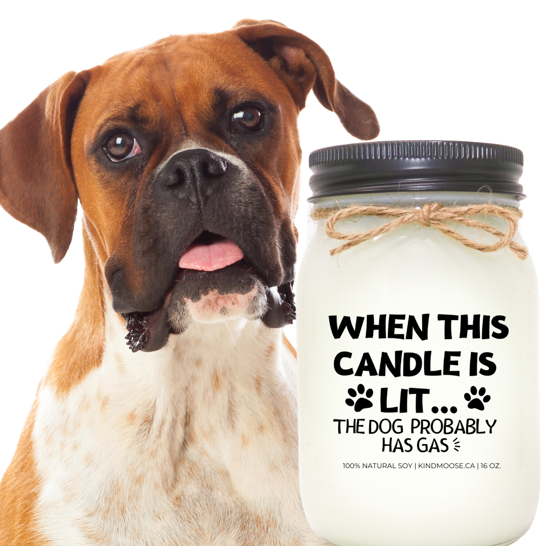 WHEN THIS CANDLE IS LIT... THE DOG PROBABLY HAS GAS