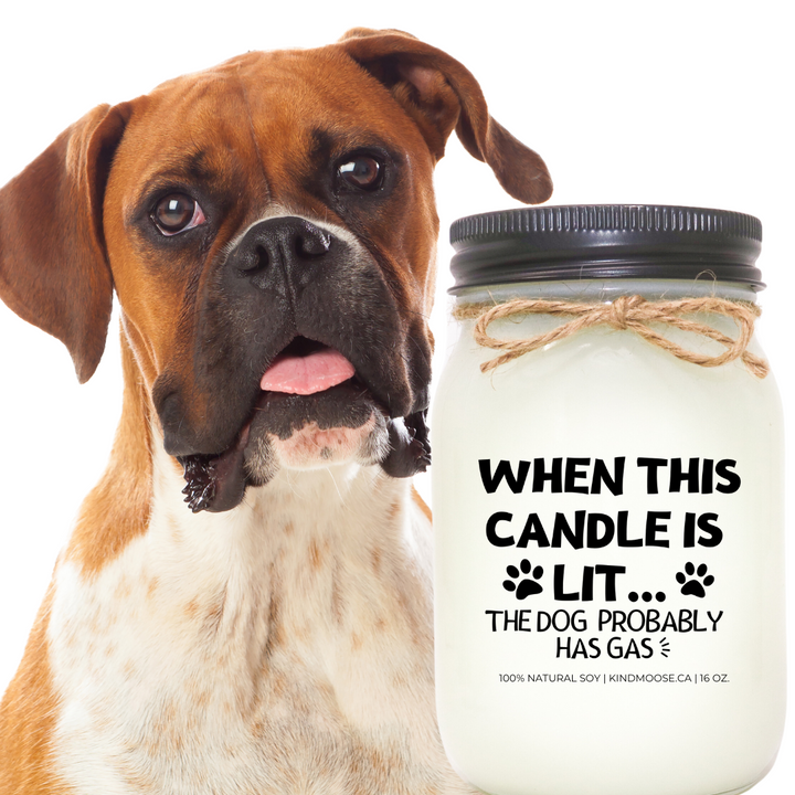 WHEN THIS CANDLE IS LIT... THE DOG PROBABLY HAS GAS