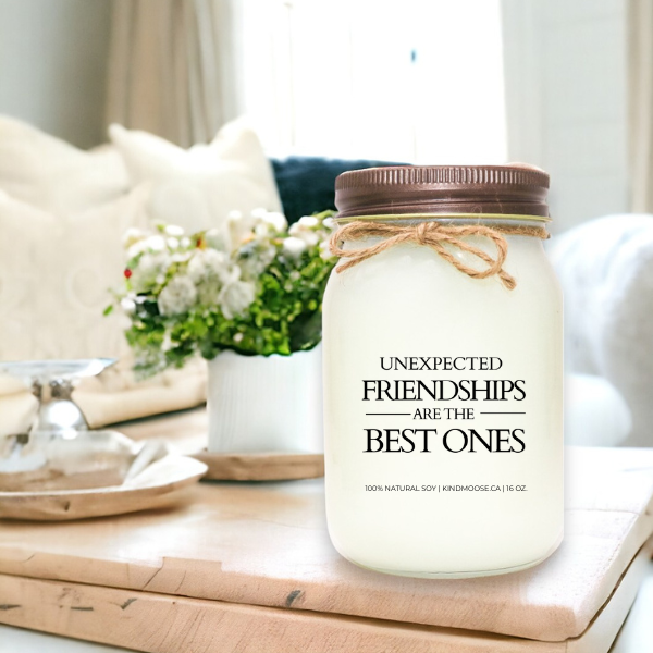 Unexpected Friendships Are the Best Ones