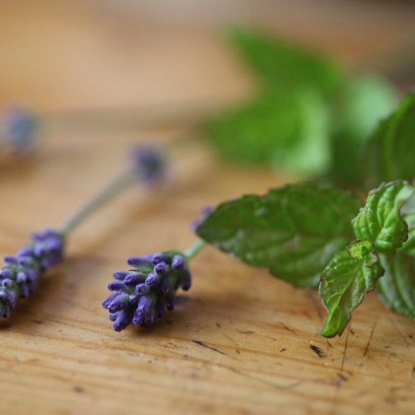 LAVENDER MINT Soy Wax Candle 16 oz