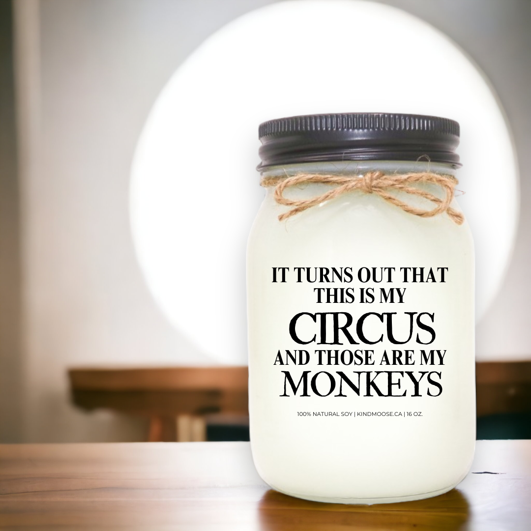 It turns out that this is my Circus and thos are my Monkeys