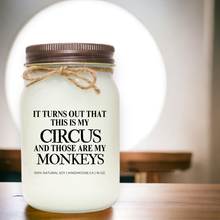 It turns out that this is my Circus and thos are my Monkeys