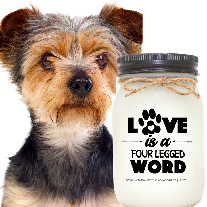 LOVE IS A FOUR LEGGED WORD