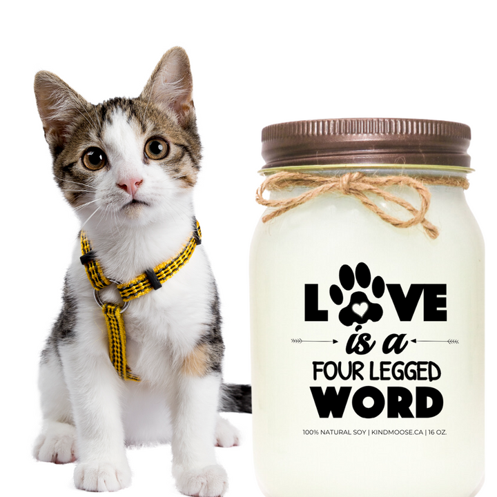 LOVE IS A FOUR LEGGED WORD