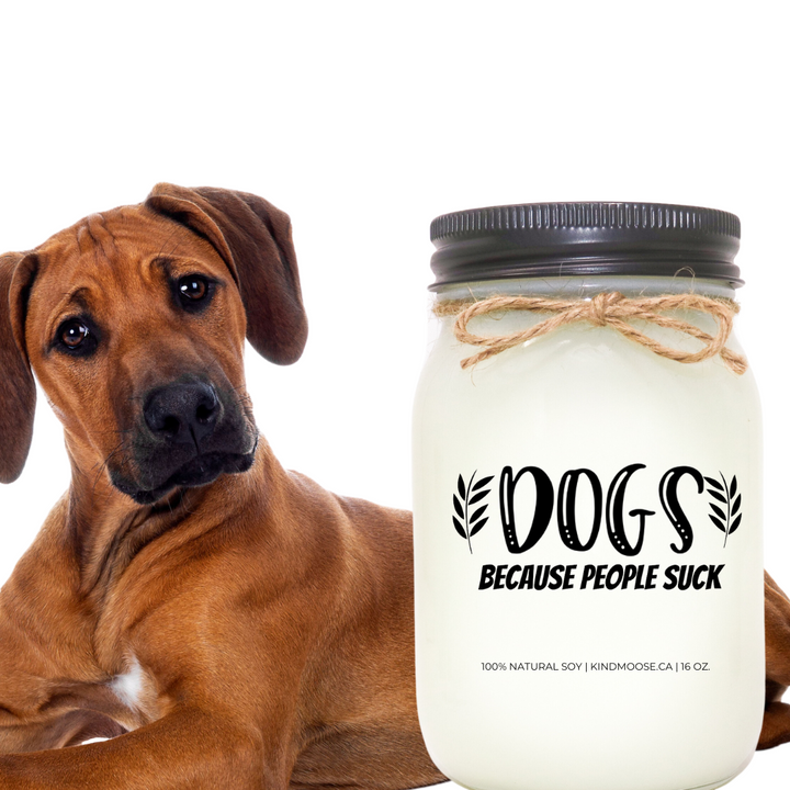 DOG, BECAUSE PEOPLE SUCK
