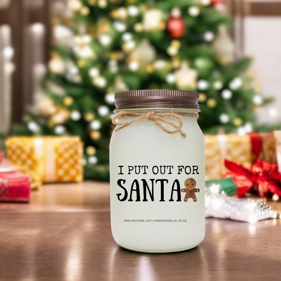 I PUT OUT FOR SANTA - 16oz