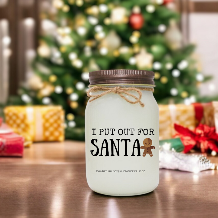 I PUT OUT FOR SANTA - 16oz