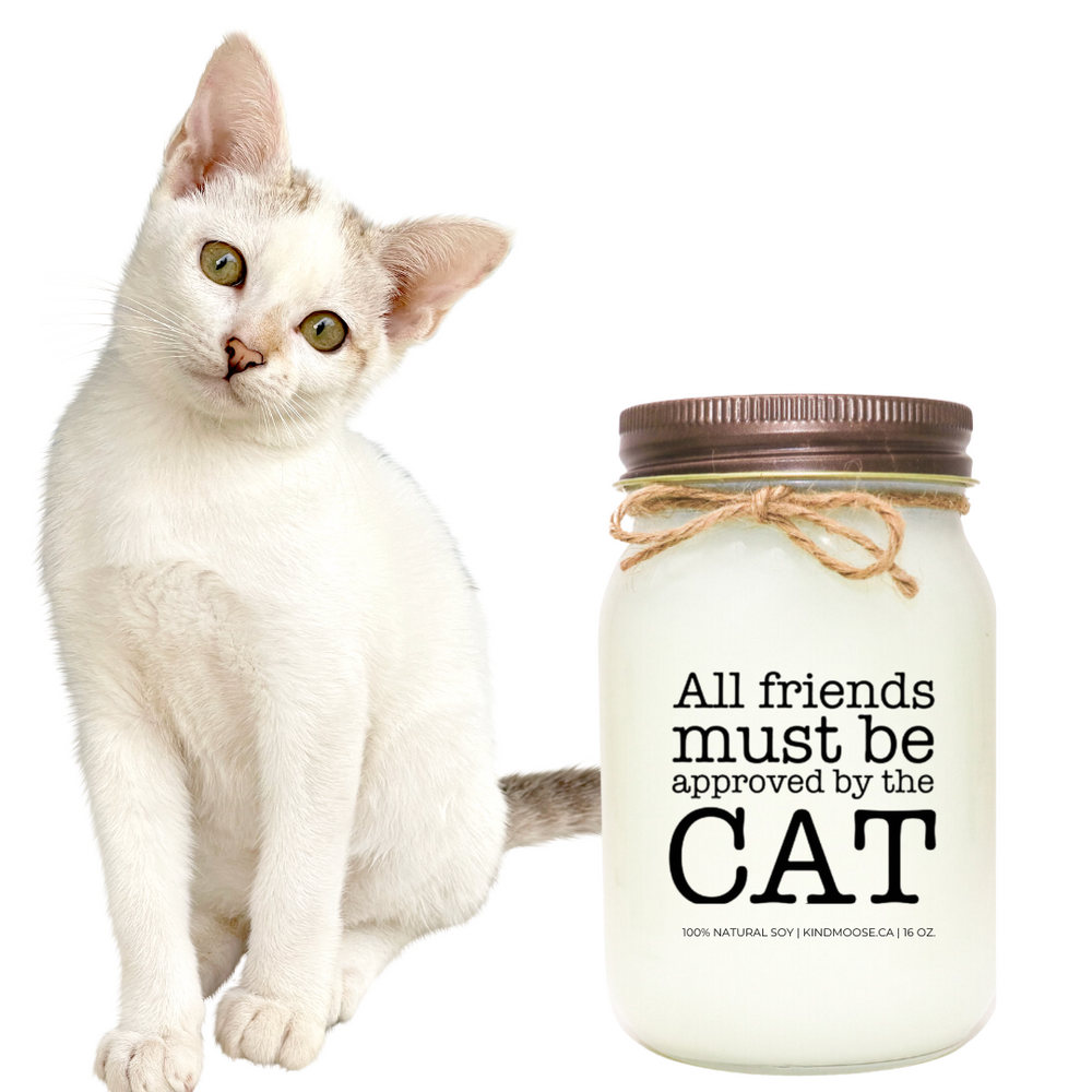 Cat Friendly Candles