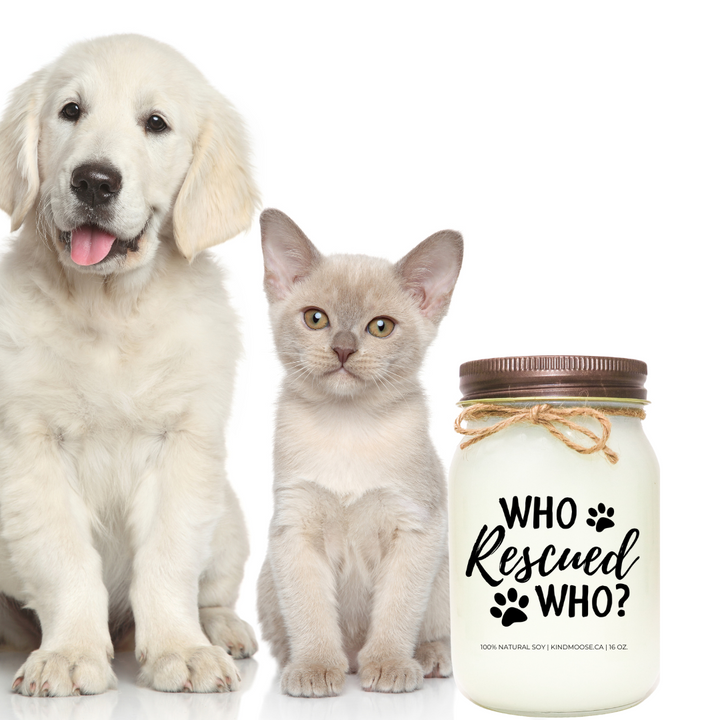 WHO RESCUED WHO?