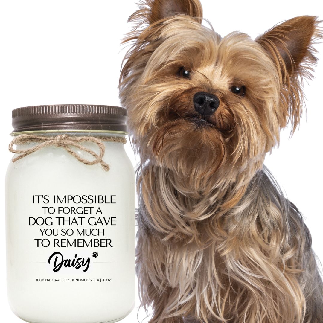 IT'S IMPOSSIBLE TO FORGET A DOG THAT GAVE YOU SO MUCH TO REMEMBER - CUSTOMIZED