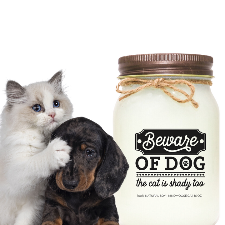 BEWARE OF DOG - THE CAT IS SHADY TOO