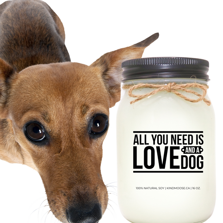 ALL YOU NEED IS LOVE AND A DOG