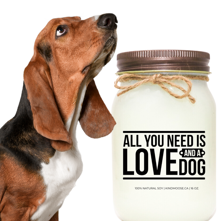 ALL YOU NEED IS LOVE AND A DOG