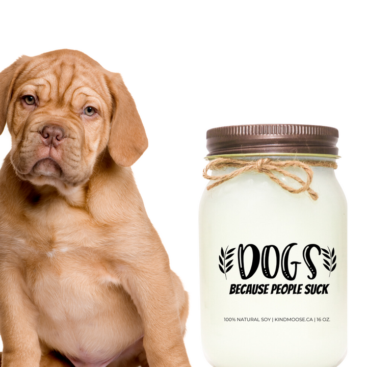 DOG, BECAUSE PEOPLE SUCK