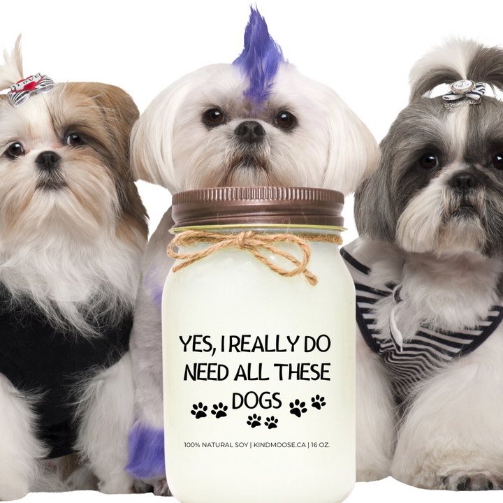 YES I REALLY DO NEED ALL OF THESE DOGS