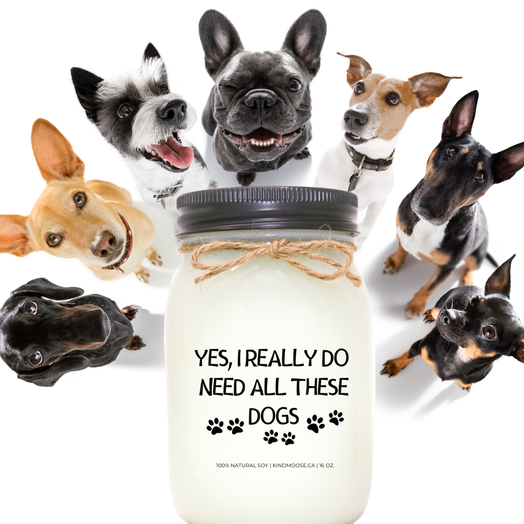 KINDMOOSE CANDLE CO 16 oz Candle Yes I Really Do Need All Of These Dogs Yes I Really Do Need All Of These Dogs - Soy Candles, Pet Friendly