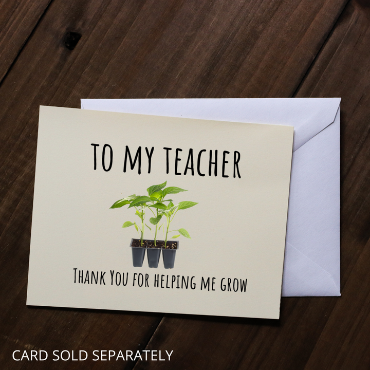 KINDMOOSE CANDLE CO 16 oz Candle Best Teacher Ever