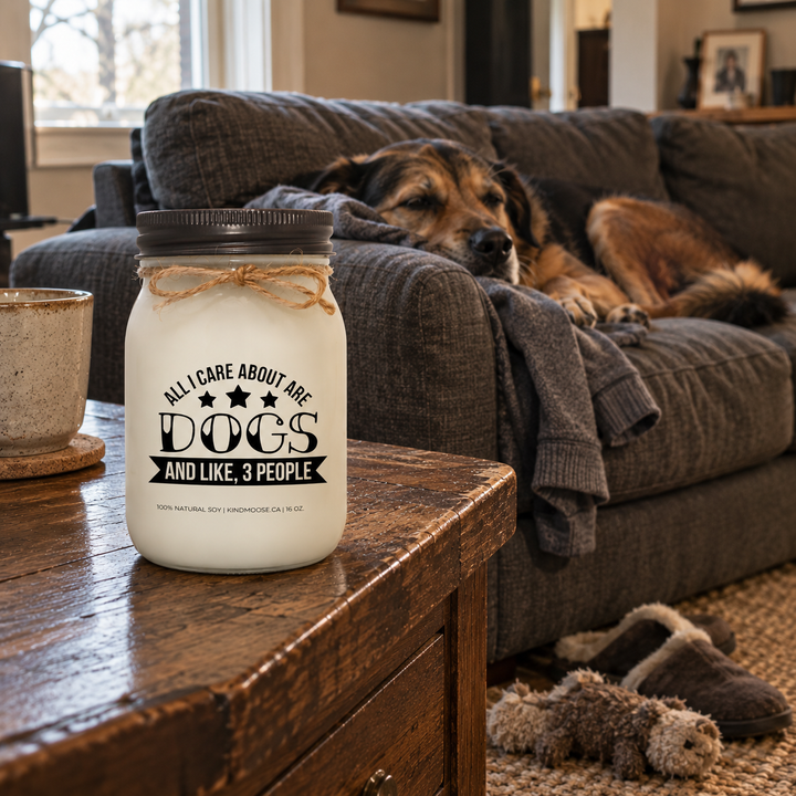 KINDMOOSE All I Care About Are Dogs and Like 3 People candle beside a relaxed dog claiming the best seat in a lived-in living room.