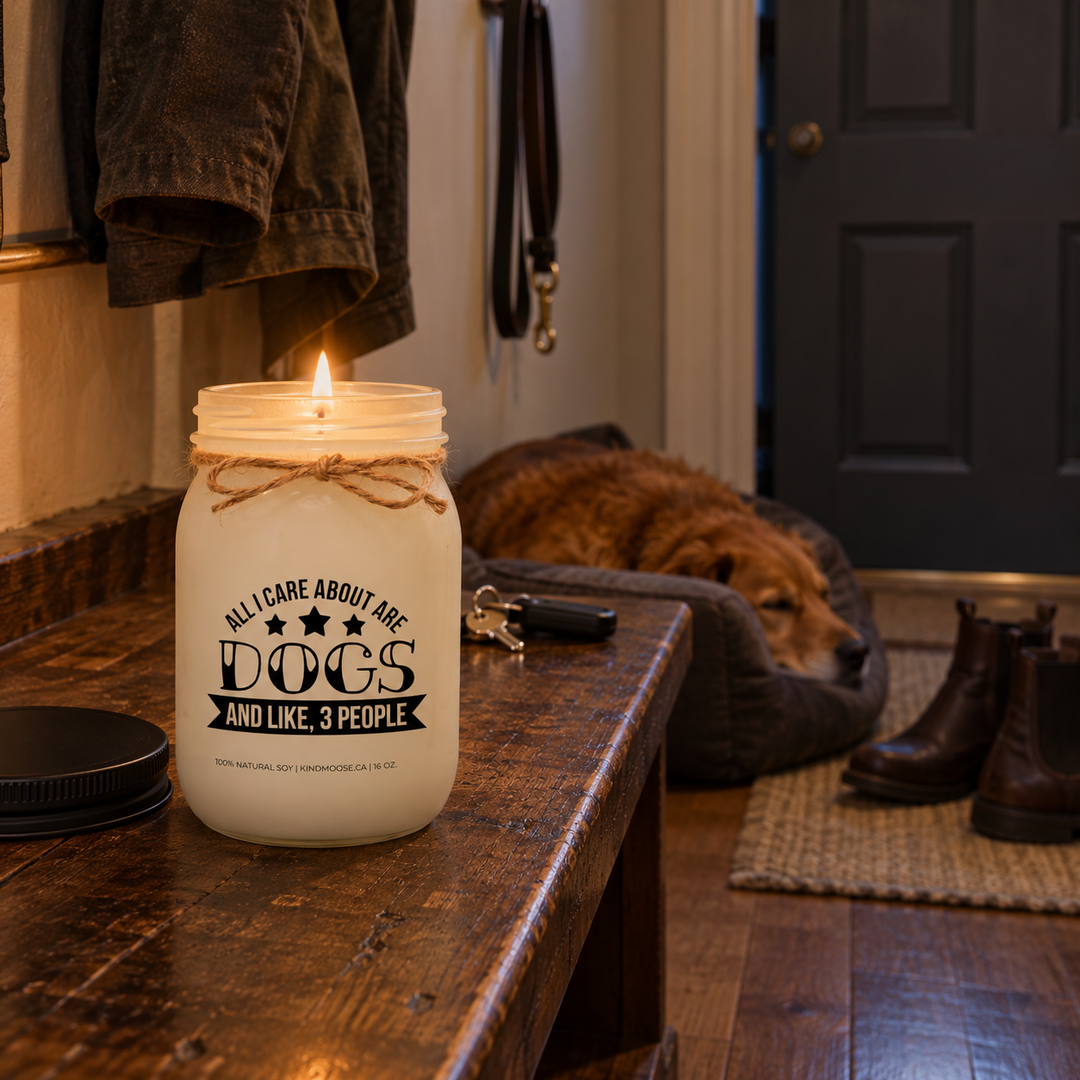 Burning KINDMOOSE All I Care About Are Dogs and Like 3 People candle in an evening entryway with a relaxed dog and plans-to-go-out clues left by the door.