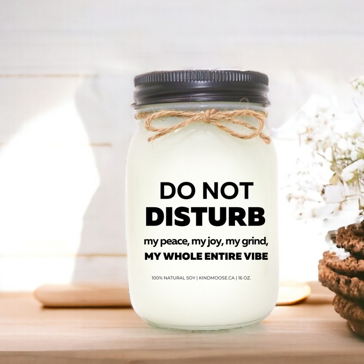 DO NOT DISTURB MY PEACE, MY JOY MY GRIND, MY WHOE ENTIRE VIBE - 16oz
