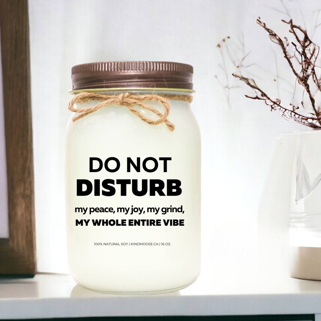 DO NOT DISTURB MY PEACE, MY JOY MY GRIND, MY WHOE ENTIRE VIBE - 16oz
