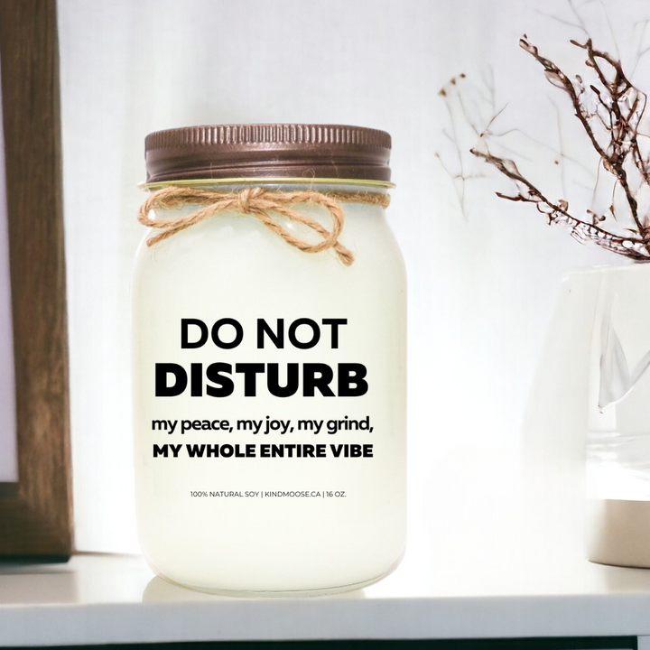 DO NOT DISTURB MY PEACE, MY JOY MY GRIND, MY WHOE ENTIRE VIBE - 16oz