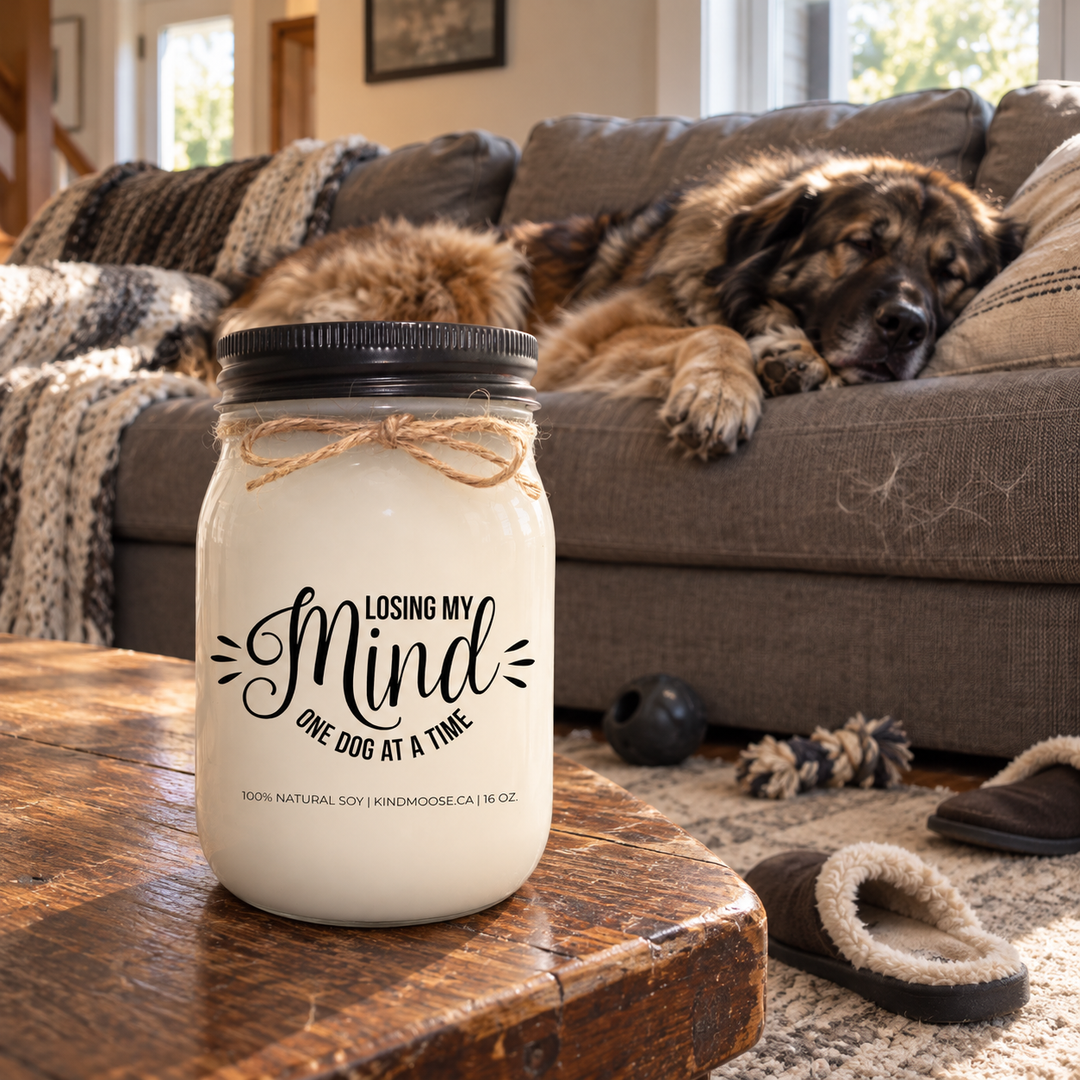 LOOSING MY MIND ONE DOG AT A TIME KINDMOOSE candle in a lived-in family room with a dog stretched across the sofa.