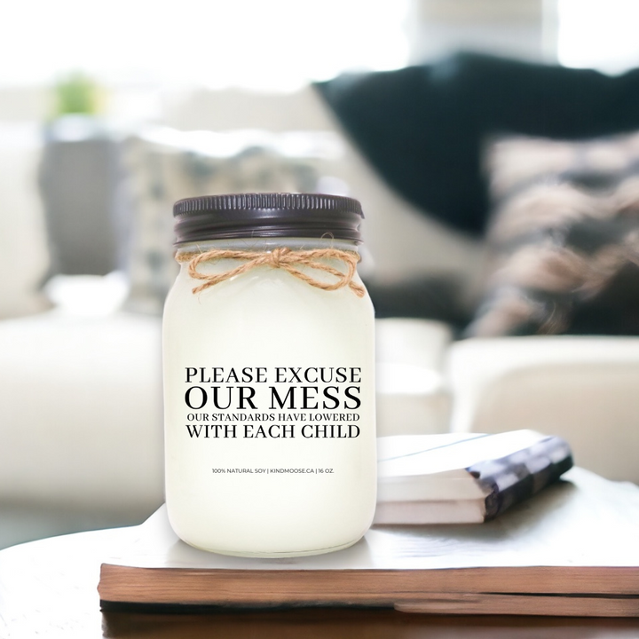 PLEASE EXCUSE THE MESS - OUR STANDARDS HAVE LOWERED WITH EACH CHILD - 16oz