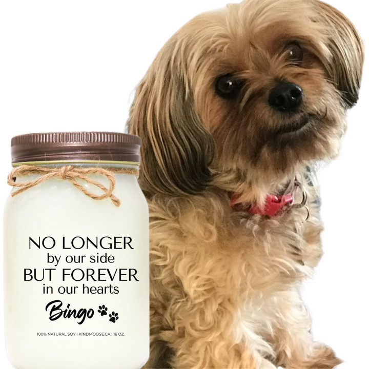 Pet Memorial CandleB rownL id-16oz Soy WaxCandle - Mason Jar