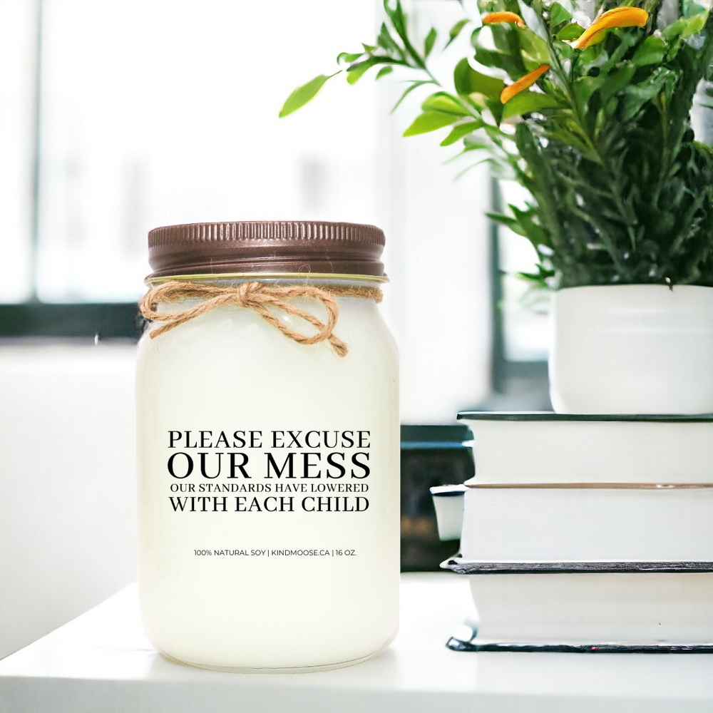 Funny candle Please Excuse the Mess - Our standards have lowered with each child- 16 oz - mason jar candle - brown lid