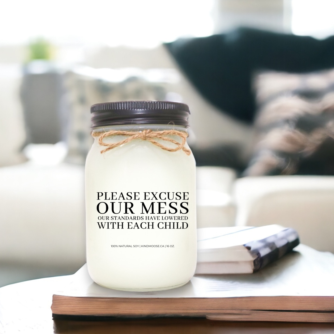 Funny candle Please Excuse the Mess - Our standards have lowered with each child- 16 oz - mason jar candle - black lid