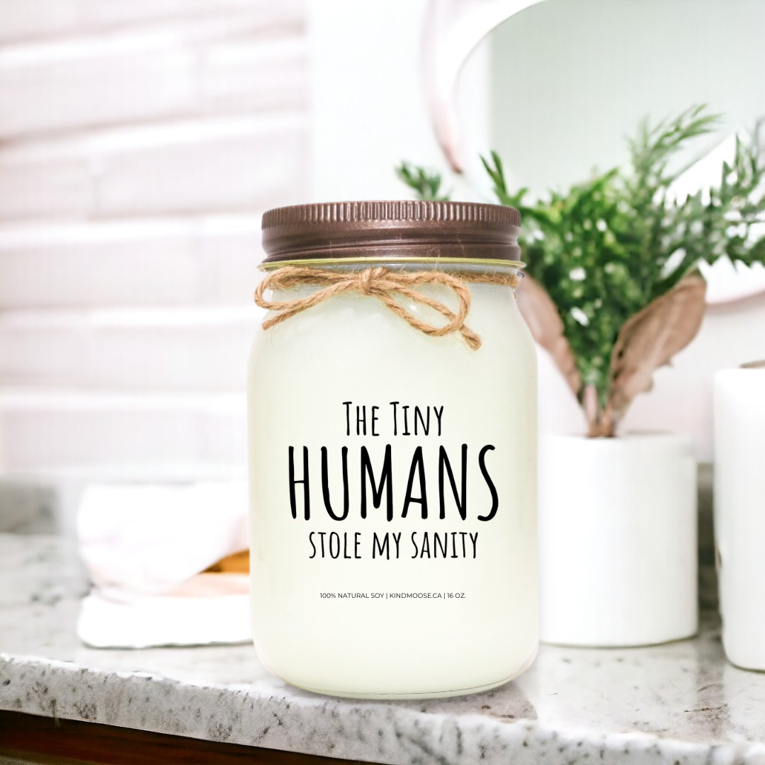 THE TINY HUMANS STOLE MY SANITY - 16oz