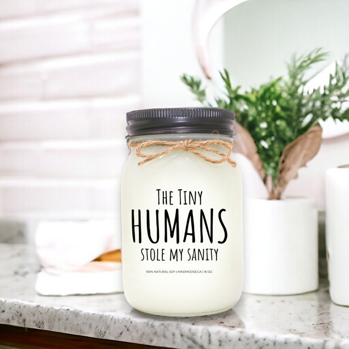 THE TINY HUMANS STOLE MY SANITY - 16oz