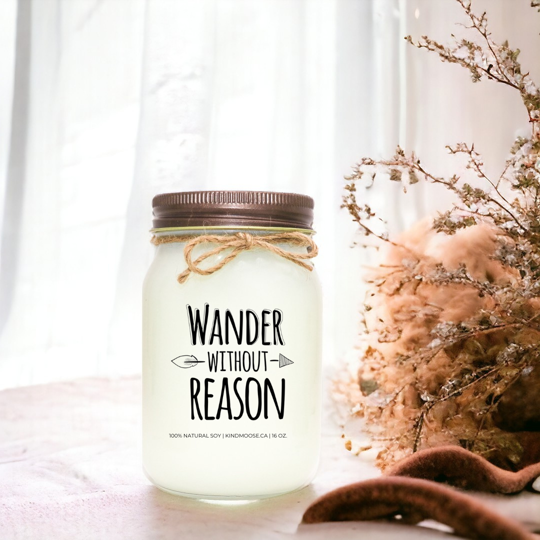 WANDER WITHOUT REASON - 16oz
