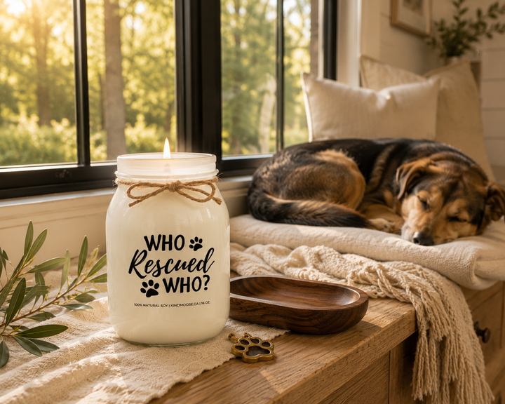WHO RESCUED WHO? customizable 16 oz soy candle burning on a reclaimed white oak window seat beside a peacefully sleeping rescue dog. Golden-hour sunlight, a cream knit throw, olive branches, and a walnut tray create a cozy farmhouse reading nook celebrating unconditional love.