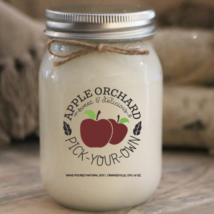 KINDMOOSE CANDLE CO 16 oz Candle Apple Pie / Silver Apple Orchard - Sweet & Delicious