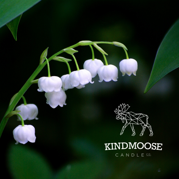 KINDMOOSE CANDLE CO Lily of The Valley  Soy Candle